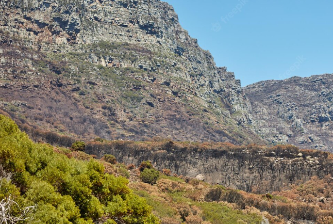 montañabombero